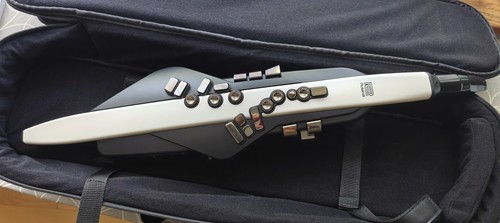 Roland aerophone digital - aerophone, ae-20