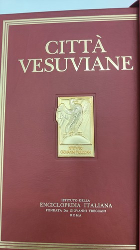 Città vesuviane treccani - città,