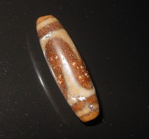 Denti di tigre - -,