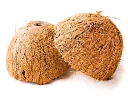 Metà guscio cocco - guscio, naturale