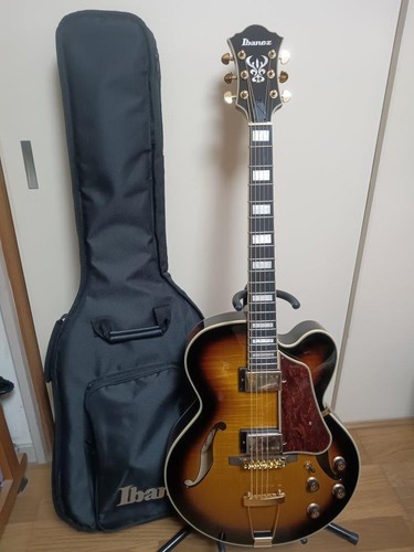 Chitarra elettrica acustica