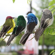 Passero Piumato Uccellino