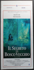 IL SEGRETO DEL BOSCO VECCHIO -