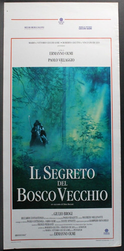 Segreto del bosco vecchio - il,