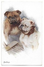 Antica Cartolina ANIMALI: CANI DI RAZZA BULLDOGS, IN COPPIA