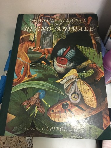 Libro per ragazzi grande - per,