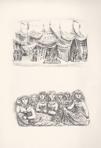 Massimo campigli tende - massimo,