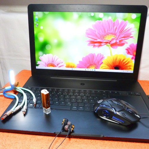 Razer blade pro pollici - razer, 17