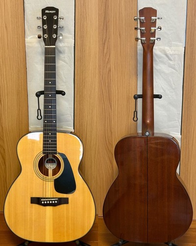 Chitarra acustica morris 251 - acustica,