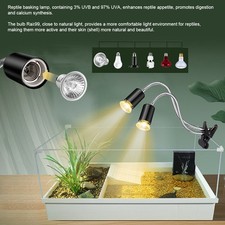Reptile Heat Lamp Rotating