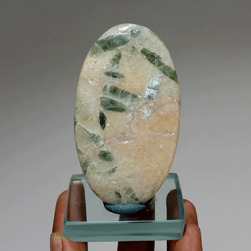 Foglie nel gelo - ,
