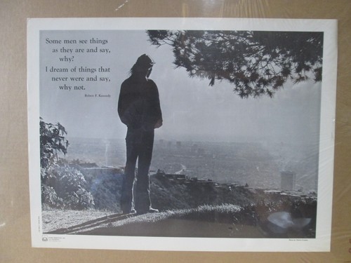 Robert kennedy quote - robert, f.