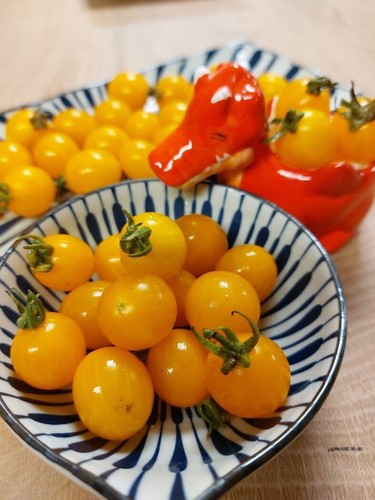 Pomodoro clementine - clementine,