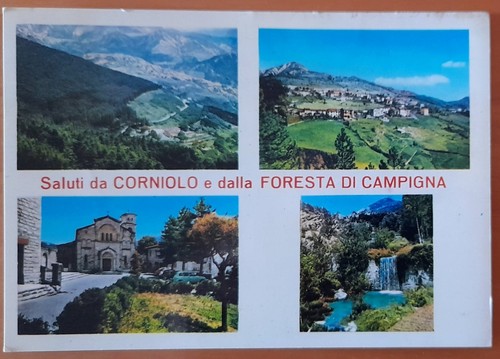 Corniolo foresta - corniolo, e
