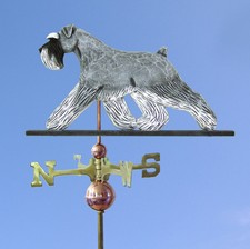 Schnauzer Uncropped Intagliato