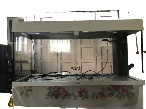Auquario juwel rio 180 - juwel,