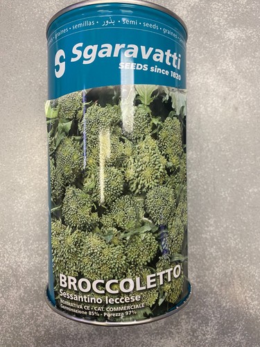 Broccoletto sessantino leccese - broccoletto,