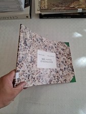 DEI, SANTI E VIANDANTI / ENZO