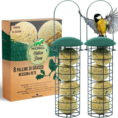 Mangiatoia per uccelli - mangiatoia,