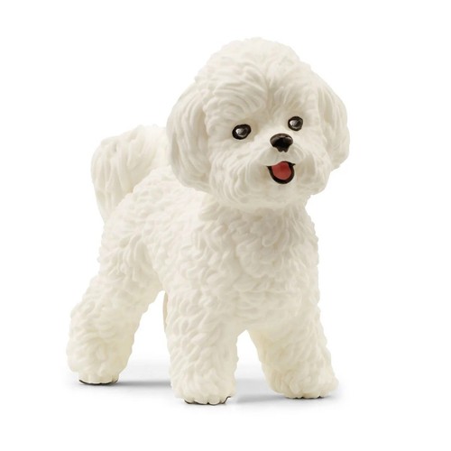 Bichon frise miniatura - frise,