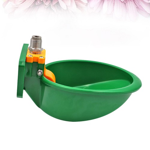 Ciotola alimentazione acqua - ,