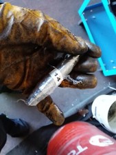 CANDELETTE 4 PEZZI AUDI A4 B7 3 SERIE ORIGINALE USATO