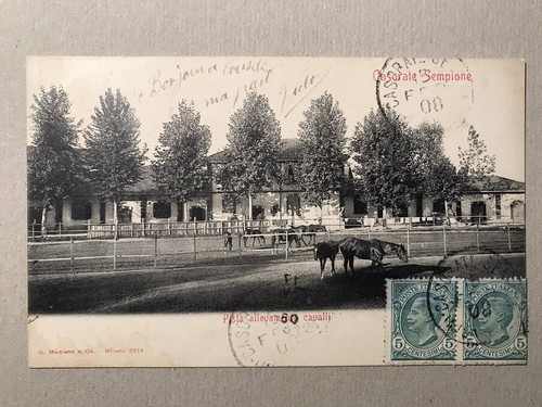 Varese casorate sempione - casorate,