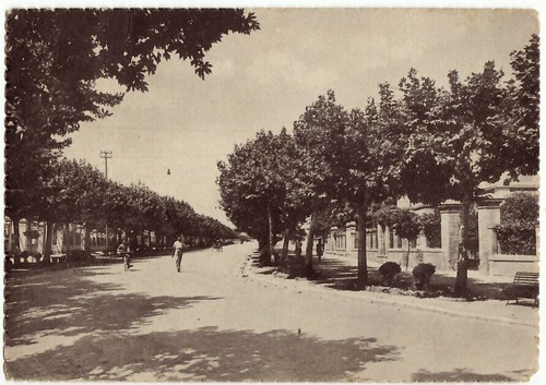 Jesi ancona viale furio - jesi,