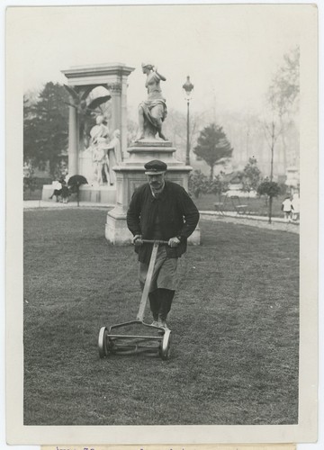 Giardiniere che sta mowing - giardiniere,