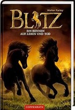 Blitz (Bd. 4): Ein Rennen auf