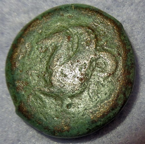 Coa antica grecia - coa, sicilia