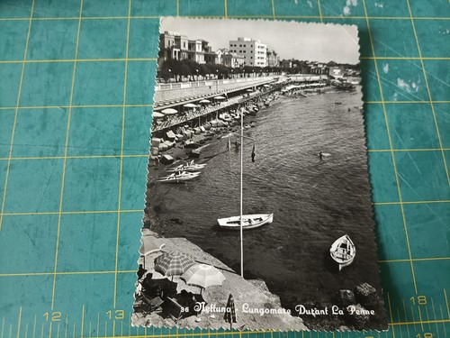 Cartolina nettuno - cartolina,