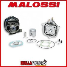 318556 CILINDRO MALOSSI 50CC