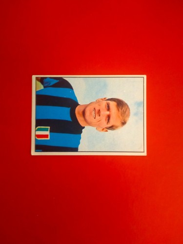 Facchetti album panini 1965 - facchetti,
