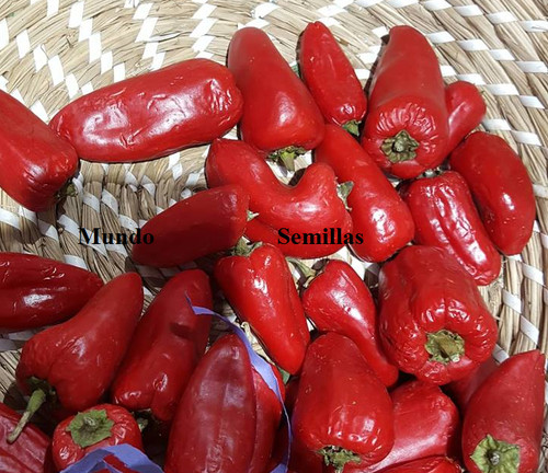 Peperoncino 1000 semi - -,