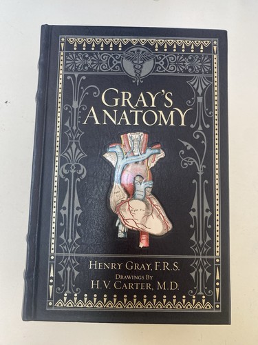 Gray anatomy barnes - gray's,