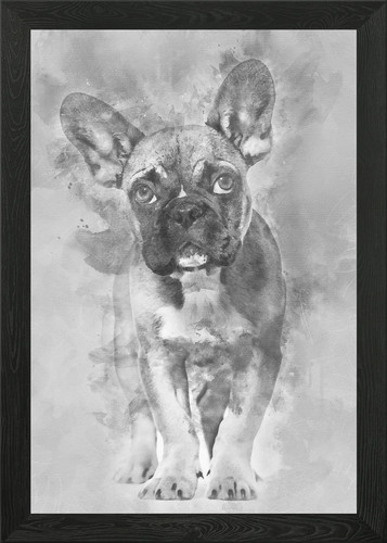 Bulldog francese mesi - bulldog,