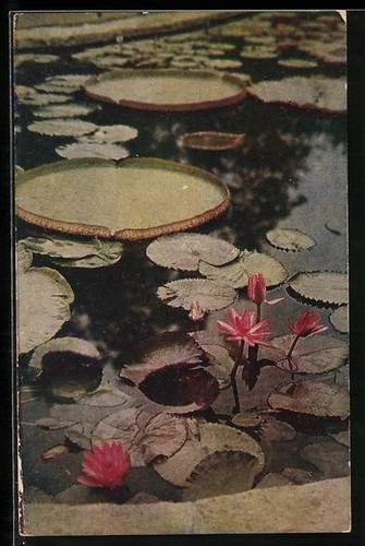Cartolina essen gruga - gruga, 1929