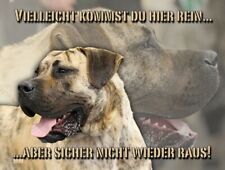 Targa in metallo PRESA (Dogo) CANARIO TARGA alluminio Dibond insegna cane NUOVO #1