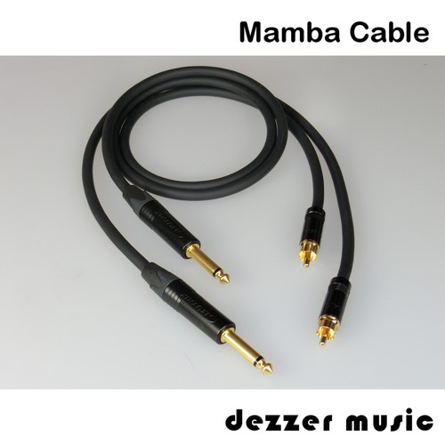 Cavo adattatore - 2x, 1m