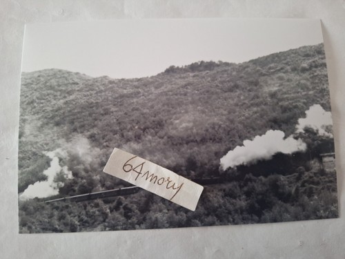 Fotografia linea terni - fotografia,