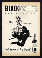 3w5612/ Vecchia pubblicità del 1964 - BLACK & WHITE Scotch Whisky