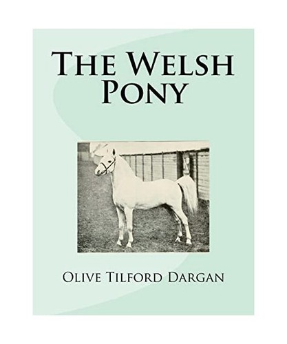The welsh pony - welsh, dargan,