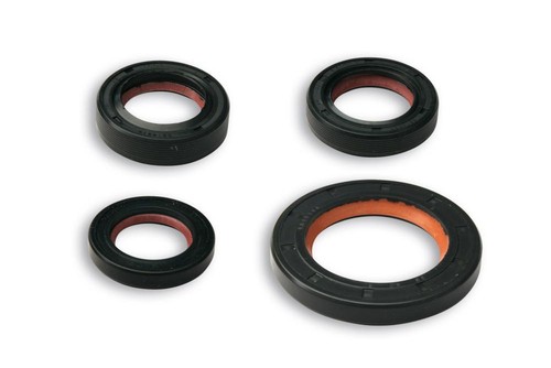 6618160 serie paraolio malossi - 6618160,
