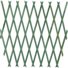 TRALICCIO 300X100 PLASTICA ESTENSIBILE VERDE