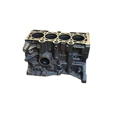 Blocco motore RENAULT MEGANE II BM0/1, CM0/1 K9K732 1.50 Diesel 78kw 2006 28801321