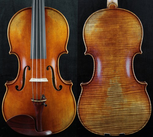 Nicely master violino - nicely,