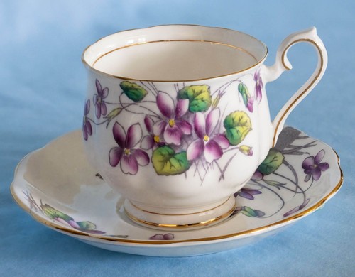 Bellissimo royal albert - royal,