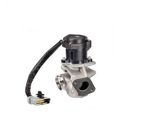 Valvola focus c max - e.g.r, c-max