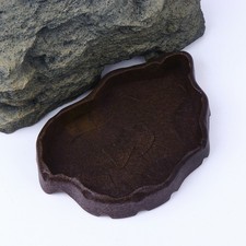  Teca Per Rettili Ciotola